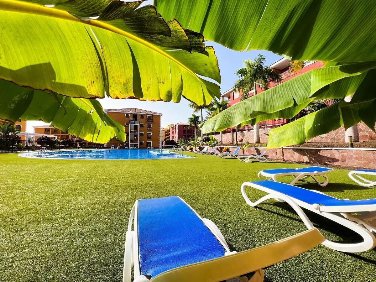 Beautiful 1 Bedroom Apartment In Palm Mar, Pm101