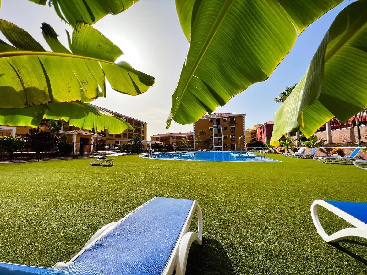 Beautiful 1 Bedroom Apartment In Palm Mar, Pm101
